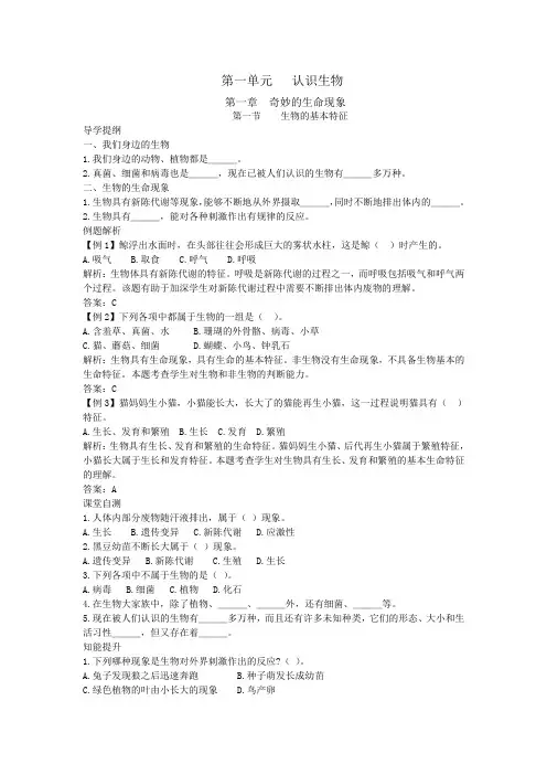 奇妙的生命现象学案教案