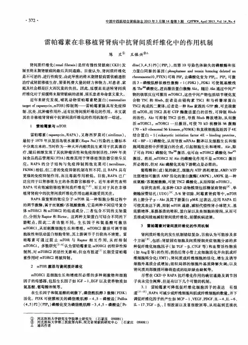 雷帕霉素在非移植肾肾病中抗肾间质纤维化中的作用机制