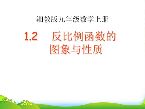 湘教版九年级数学上册《反比例函数的图象和性质(1)》课件