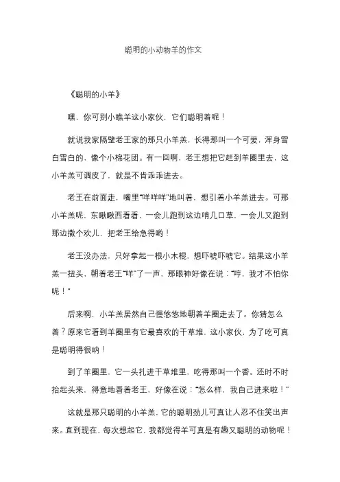 聪明的小动物羊的作文