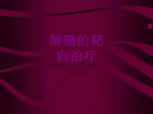 肺癌的靶向治疗ppt培训课件