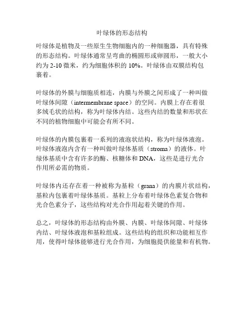 叶绿体的形态结构