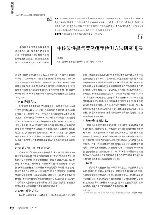 牛传染性鼻气管炎病毒检测方法研究进展
