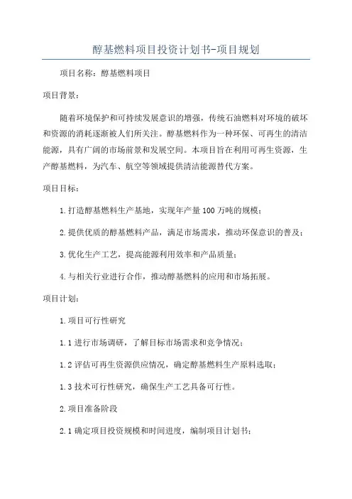 醇基燃料项目投资计划书-项目规划