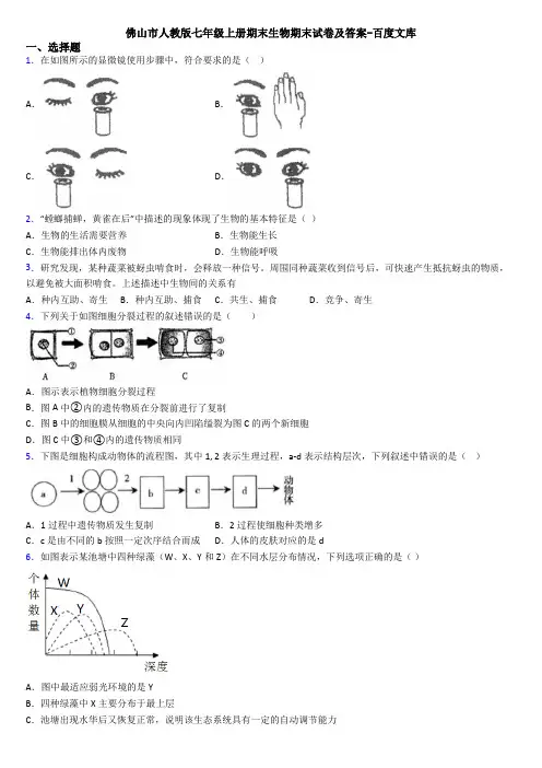 佛山市人教版七年级上册期末生物期末试卷及答案-百度文库