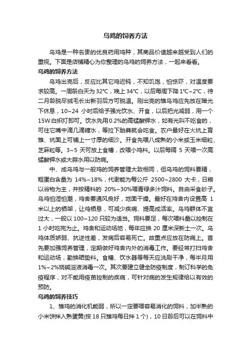 乌鸡的饲养方法