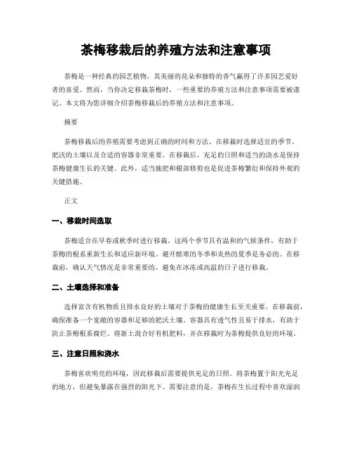 茶梅移栽后的养殖方法和注意事项