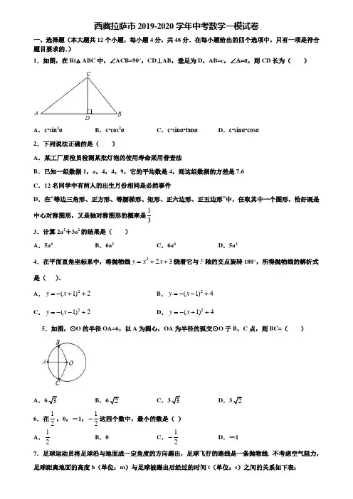 西藏拉萨市2019-2020学年中考数学一模试卷含解析