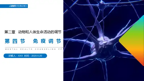 《免疫调节》人教版高中生物必修三PPT课件