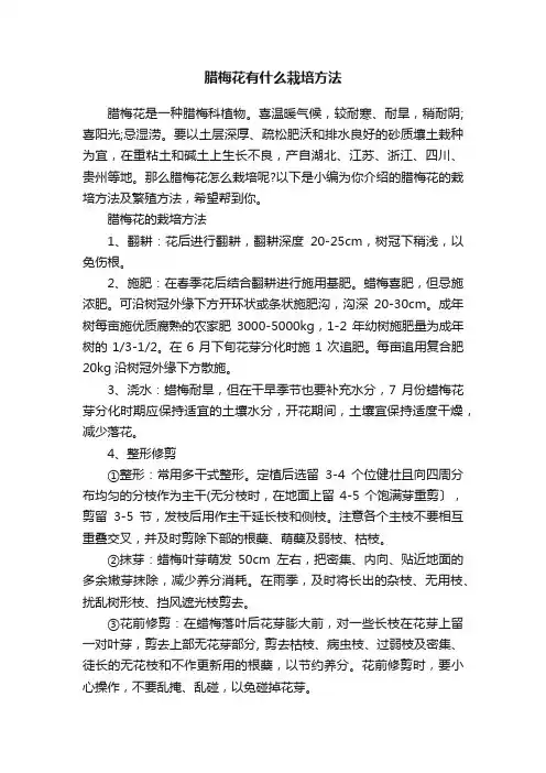 腊梅花有什么栽培方法