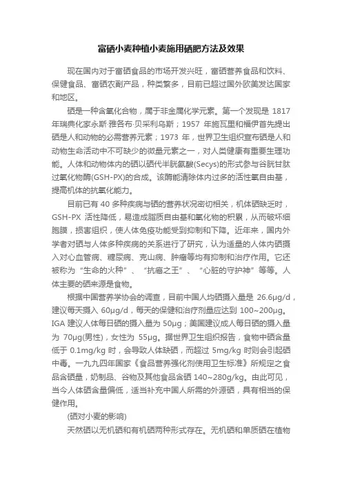 富硒小麦种植小麦施用硒肥方法及效果