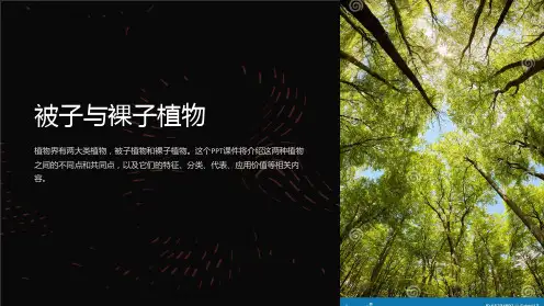《被子与裸子植物》课件
