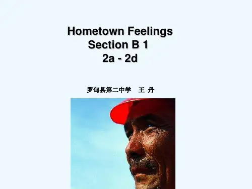 英语人教版八年级下册Unit 10 Hometown Feelings.
