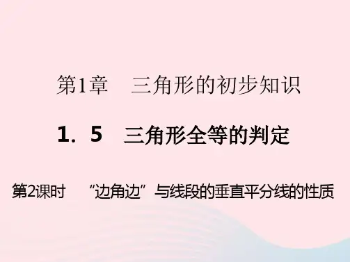 八年级数学上册第1章三角形的初步知识1-5三角形全等的判定第2课时作业浙教版