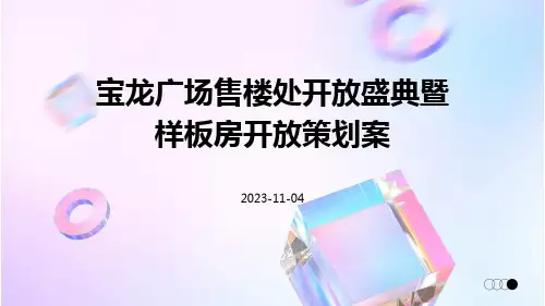 宝龙广场售楼处开放盛典暨样板房开放策划案