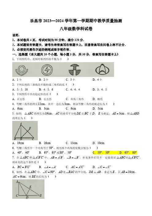 广东省韶关乐昌市 2023-2024学年八年级上学期期中数学试题(含答案)