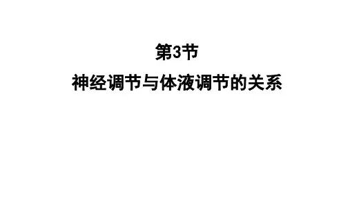 2-3神经调节与体液调节的关系