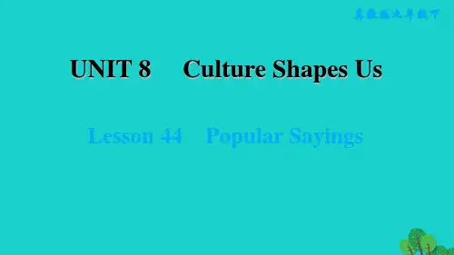九年级英语下册Unit8CultureShapesUsLesson44PopularSayi习题课件