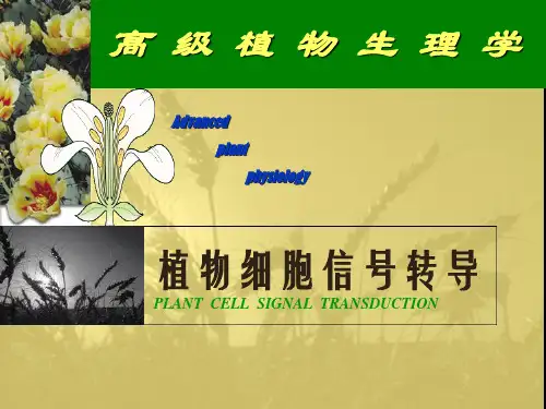 高等植物生理学-植物信号转导