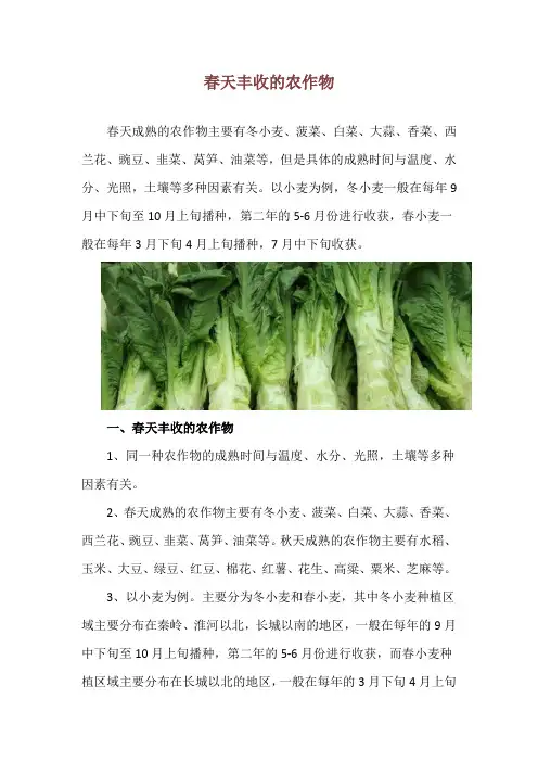 春天丰收的农作物