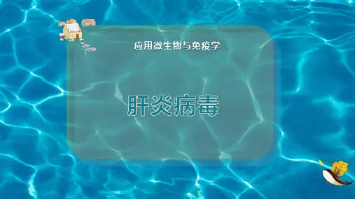 肝 炎 病 毒
