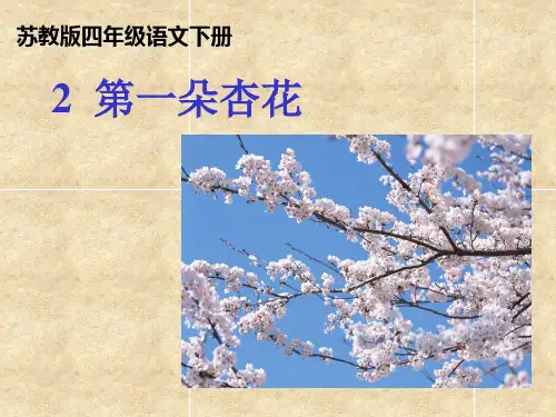 四年级下册语文课件-第一朵杏花∣苏教版 (共8张PPT)
