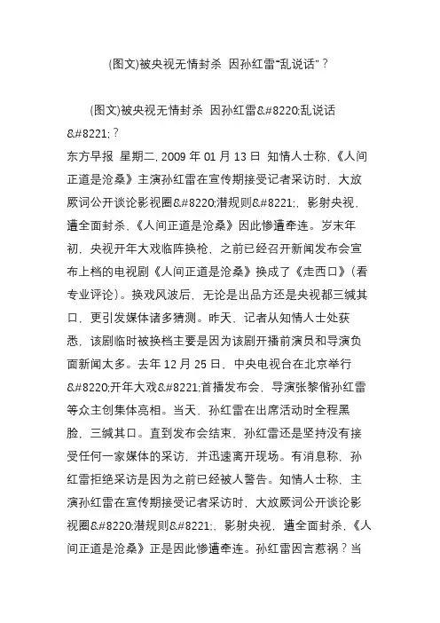 (图文)被央视无情封杀 因孙红雷“乱说话”