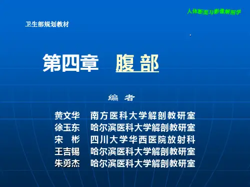 腹部断层影像解剖ppt课件