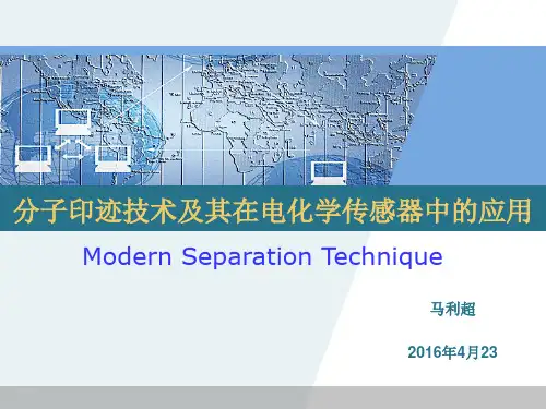 分子印迹技术及其在电化学传感器中的应用