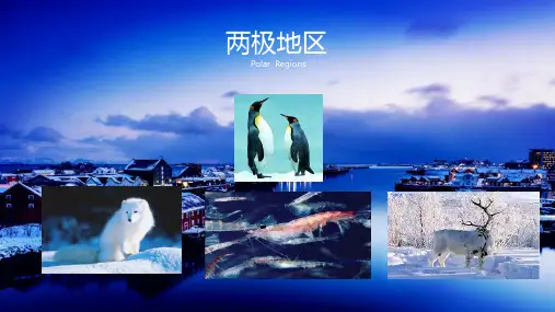 高二区域地理复习——两极地区(53张)(共53张PPT)
