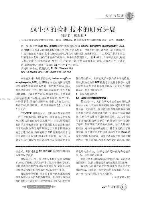 疯牛病的检测技术的研究进展