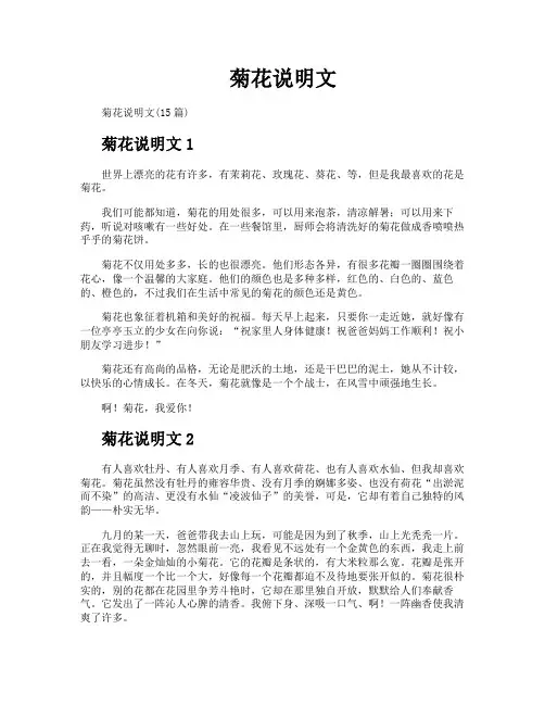 菊花说明文