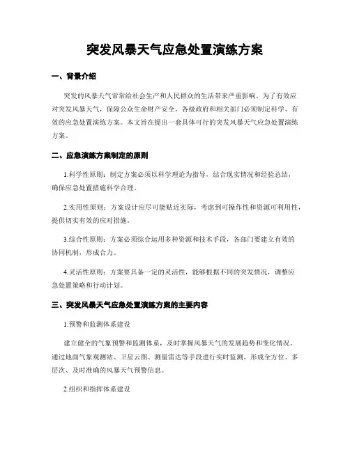 突发风暴天气应急处置演练方案