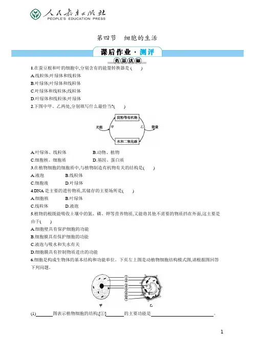 人教版初中Word版训练题库同步解析与测评 学考练 生物学 七年级上册26