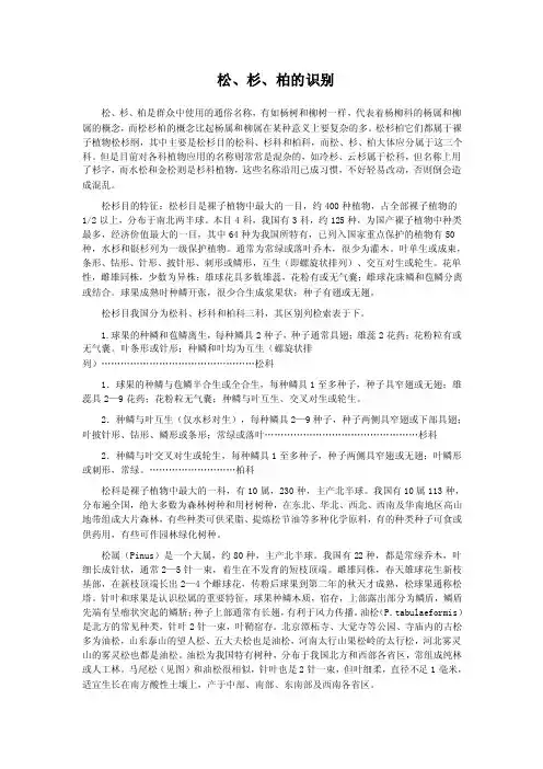 松、杉、柏的识别