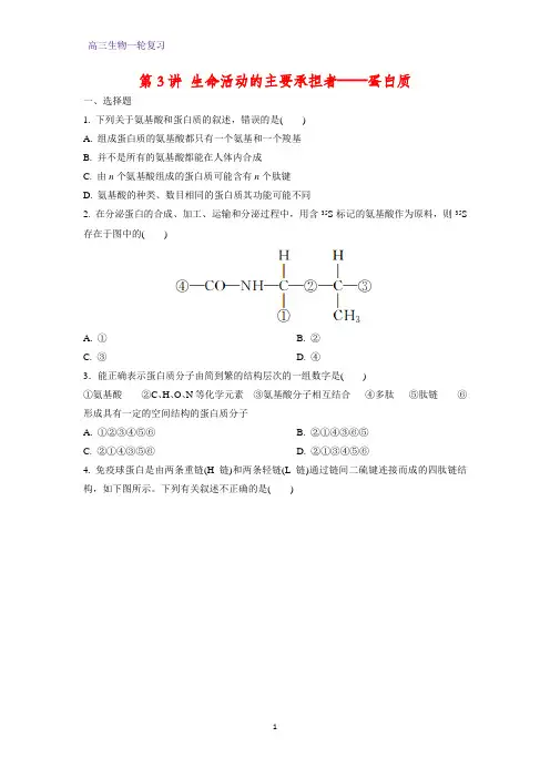 高三生物一轮复习课时作业3：第3讲 生命活动的主要承担者——蛋白质