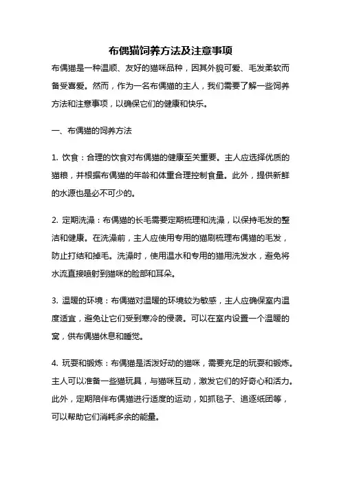 布偶猫饲养方法及注意事项