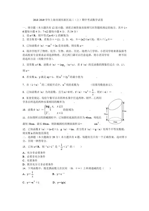 2018-2019学年上海市浦东新区高三(上)期中考试数学试卷(有答案)