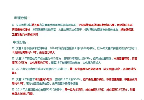 文昌市场报告