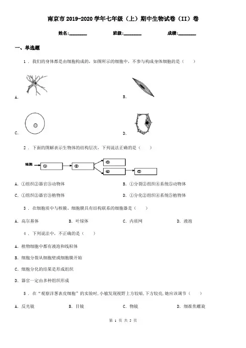 南京市2019-2020学年七年级(上)期中生物试卷(II)卷