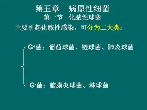 化脓性球菌PPT课件