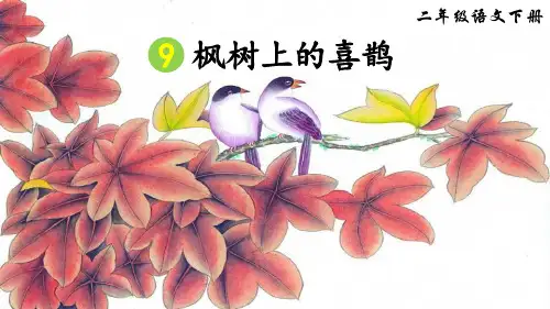 部编版二年级语文下册第9课《枫树上的喜鹊》优质教学课件