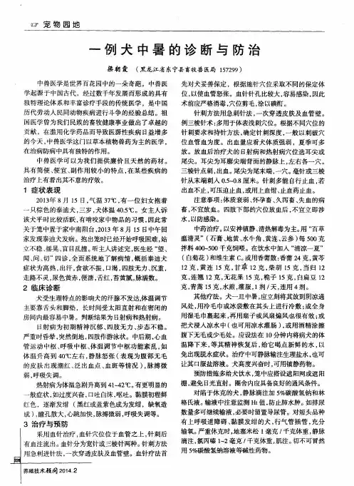 一例犬中暑的诊断与防治