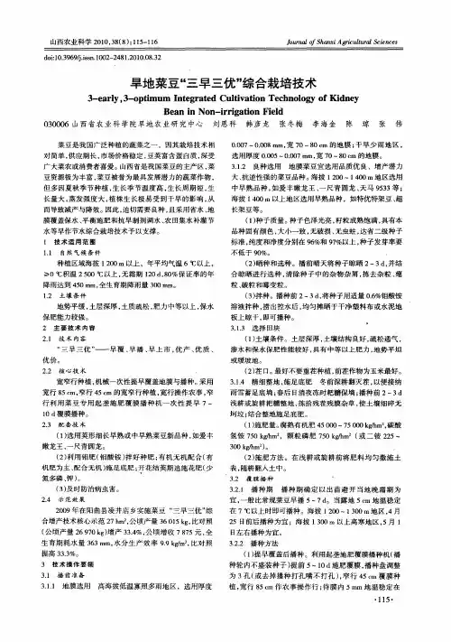 旱地菜豆“三早三优”综合栽培技术