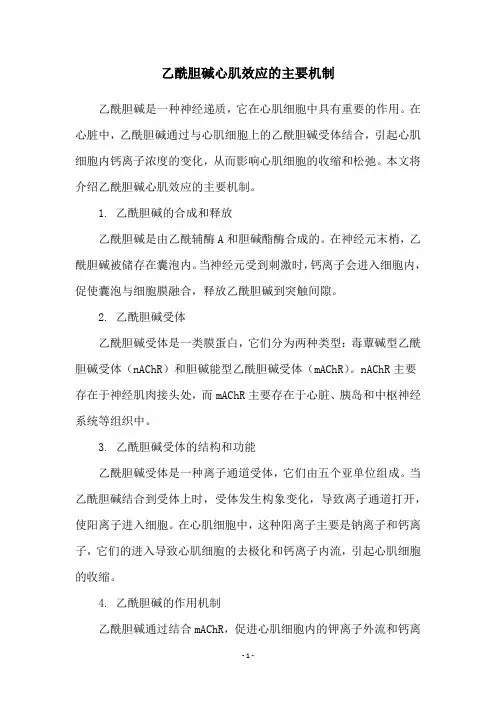 乙酰胆碱心肌效应的主要机制