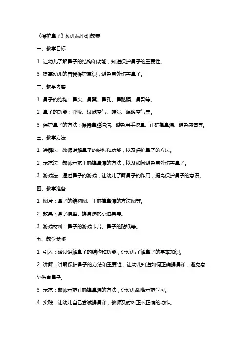 《保护鼻子》幼儿园小班教案