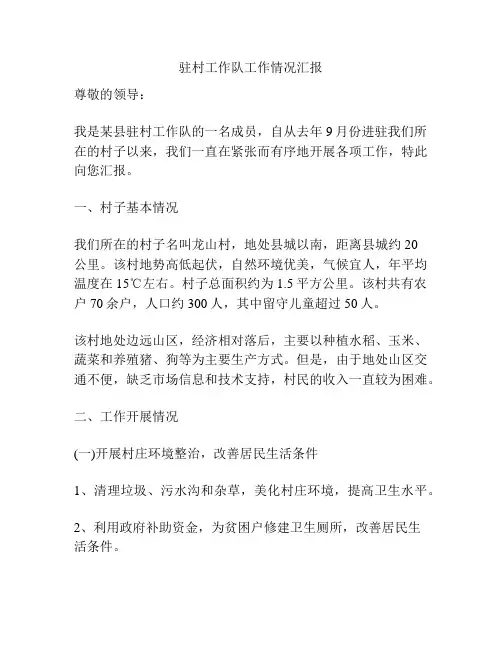 驻村工作队工作情况汇报