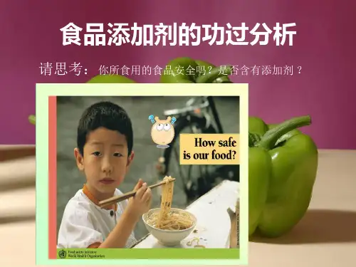 食品添加剂的功过分析