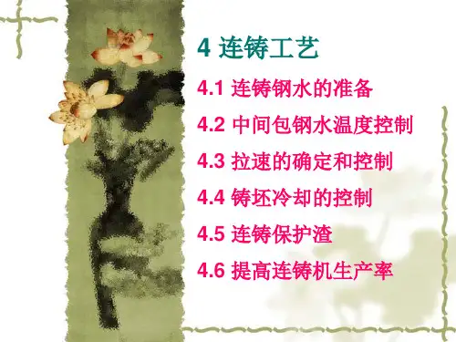 连铸ppt-9-10
