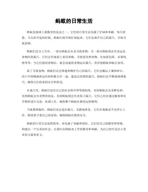蚂蚁的日常生活